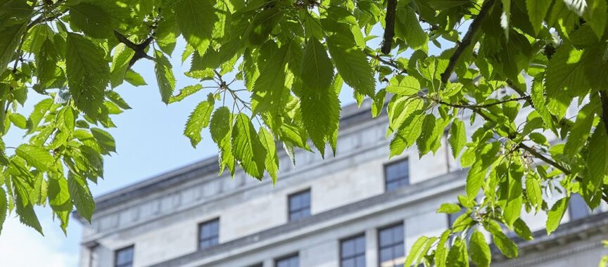 Inheritance tax planning wills
