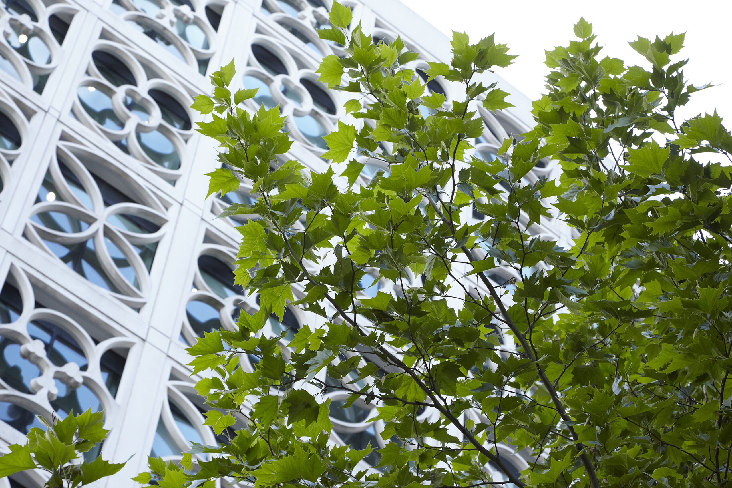 Care Home Solicitors Kuits Solicitors